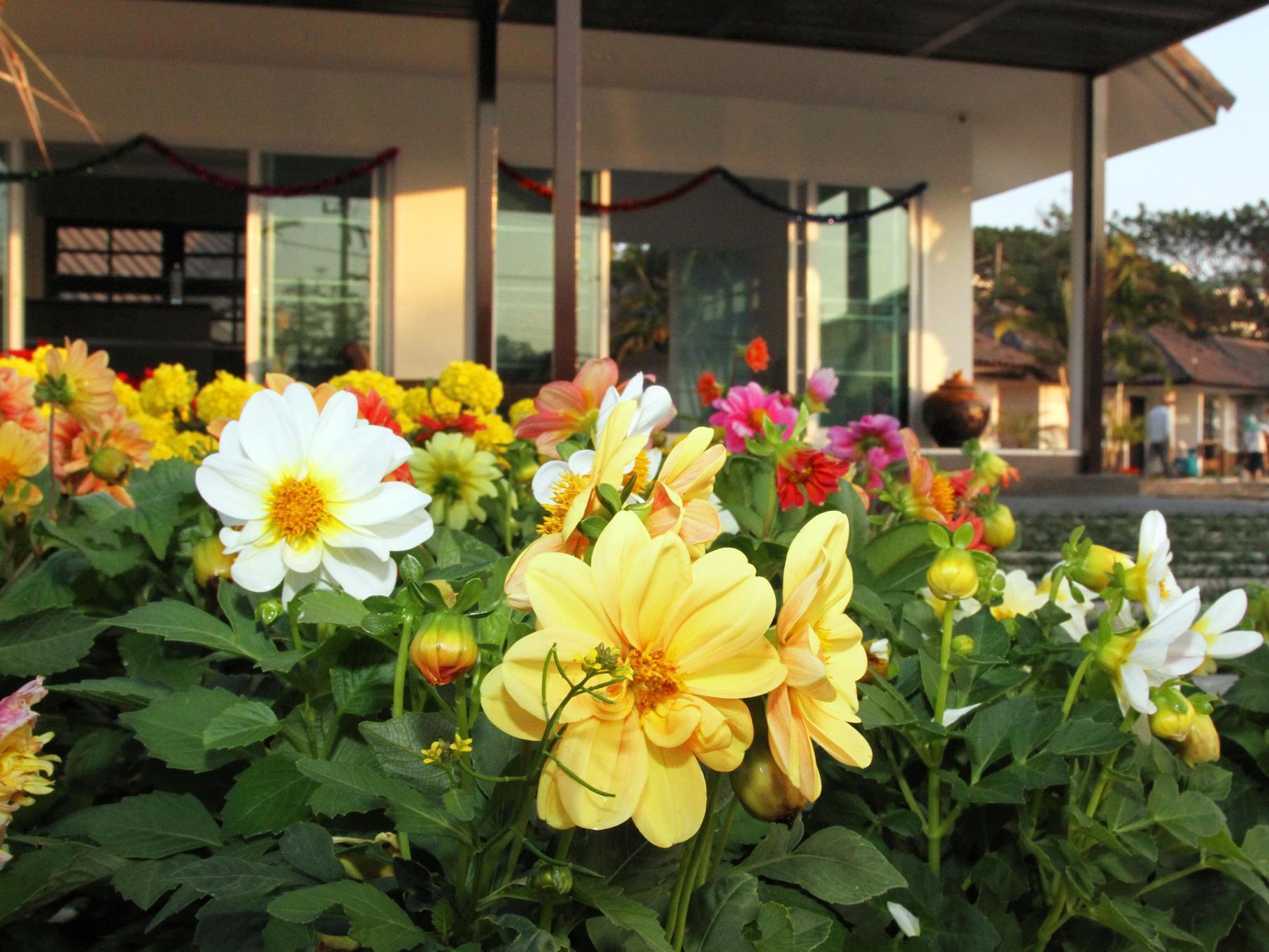 Chiangrai Green Park Resort Chiang Rai Exterior foto